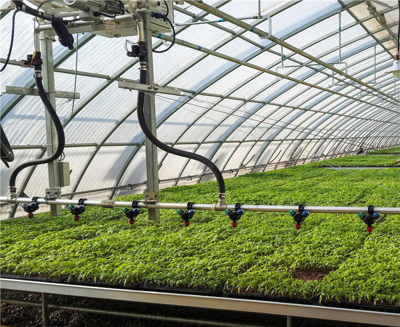 日光温室 日光温室